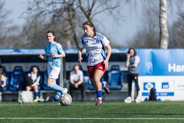 Bild 60 - F Hamburger SV 3 - Blau-Weiss 96 : Ergebnis: 5:1